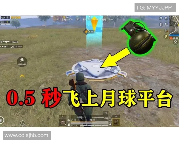 赵秀英专访揭秘和平精英成功秘诀与未来发展方向