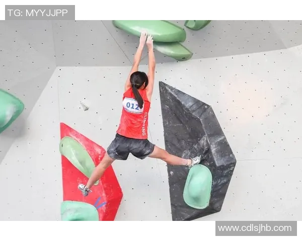 杭州攀岩队与南京攀岩队赛后战术分析与总结探讨